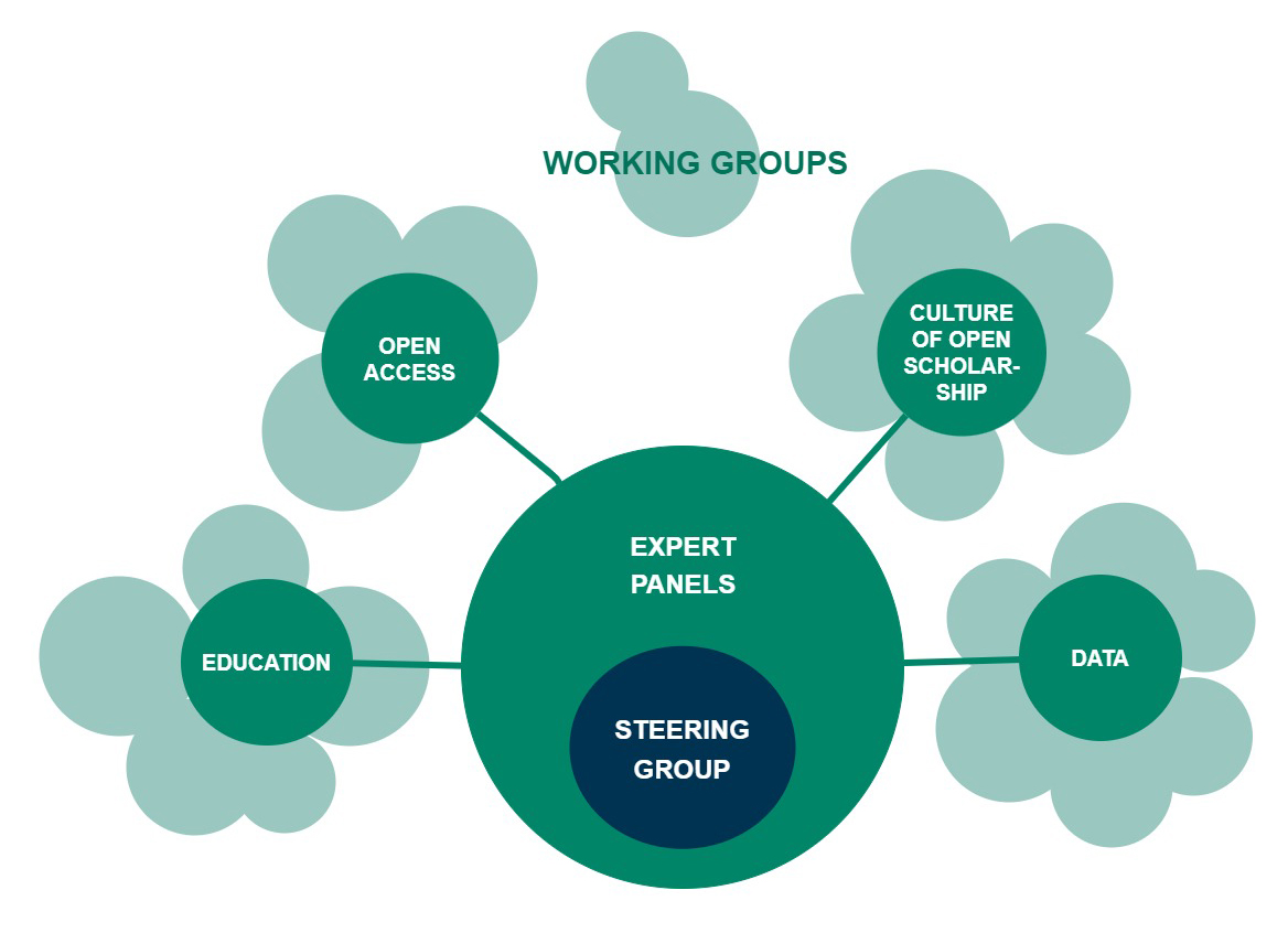 Illustration of the coordination structure with the steering group, expert panels and working groups.