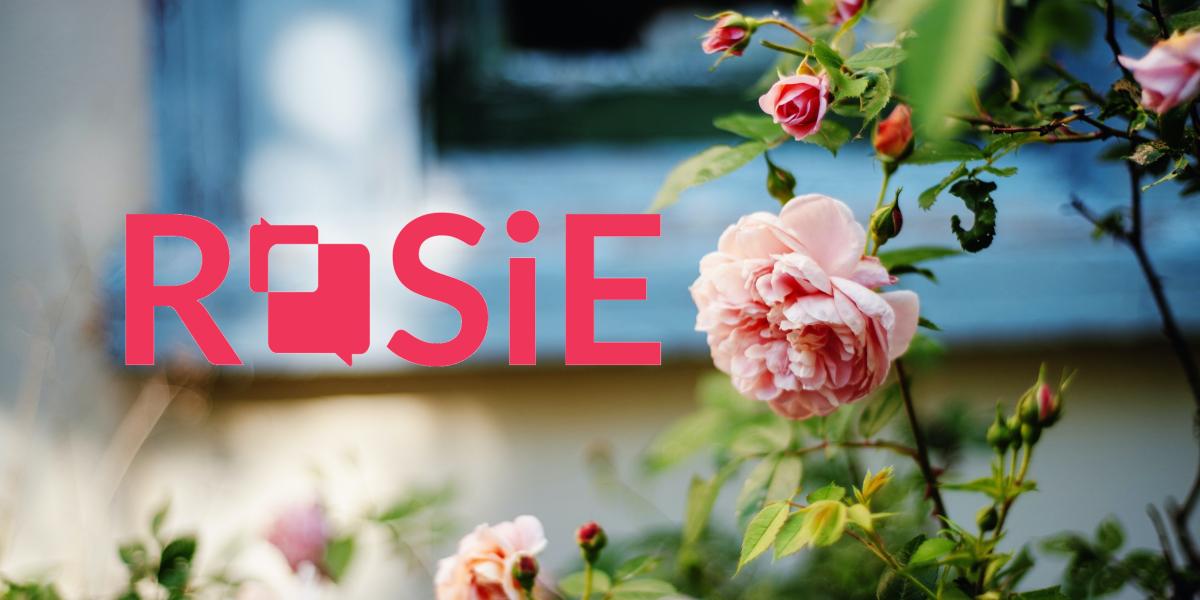 ROSiE-hankkeen logo, jonka taustalla on kuvituskuva ruususta.