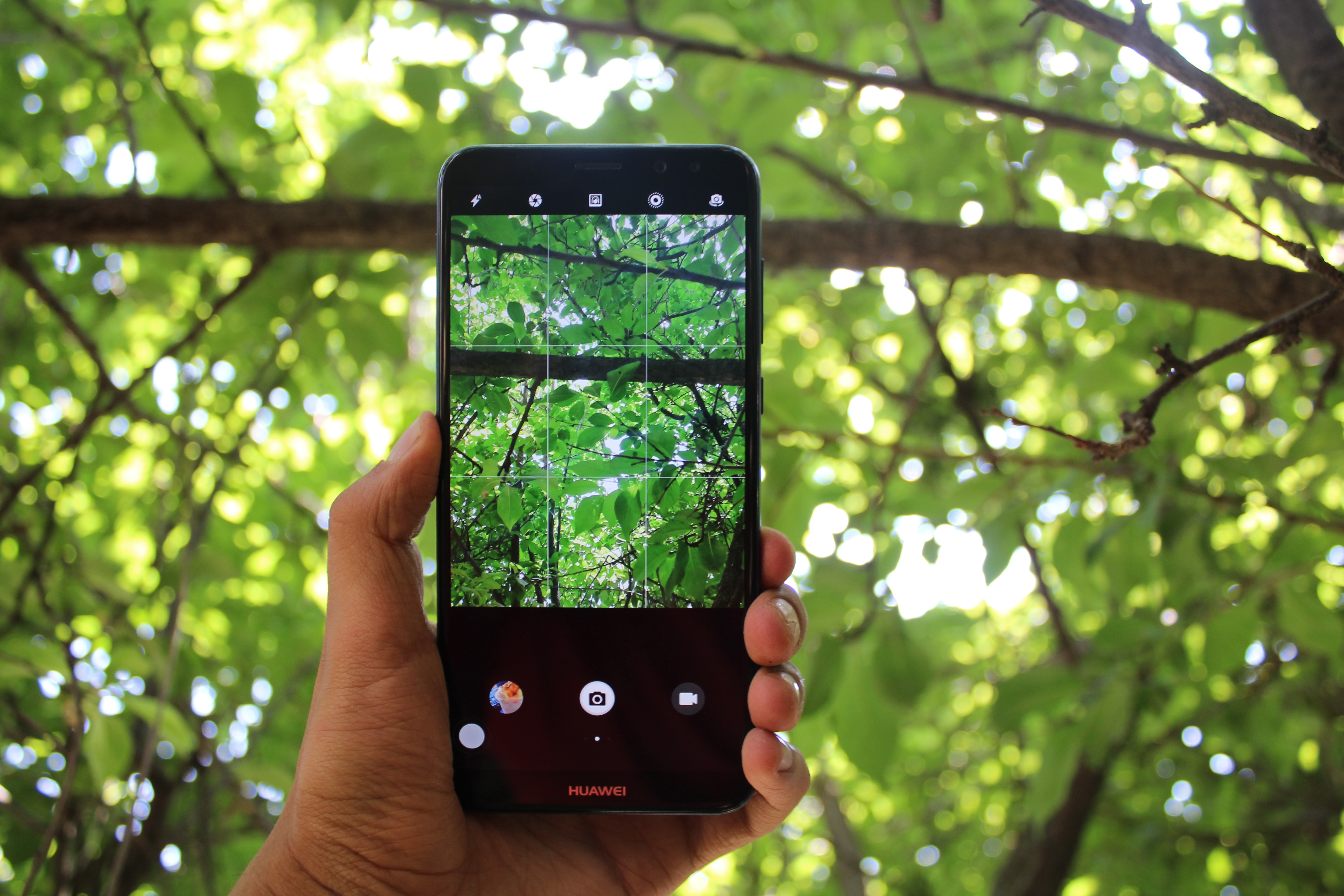 Käsi pitelee mobiililaitetta, jonka näytöllä näkyy taustalla oleva metsä.