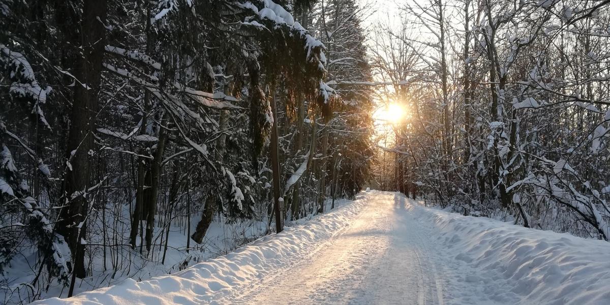 kuvituskuva - luminen maisema