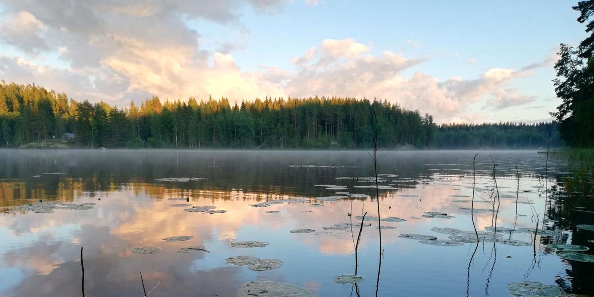 Vindstilla sommarsjö