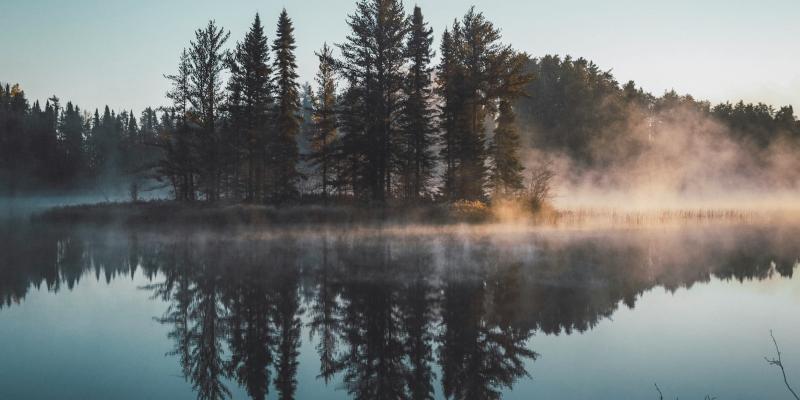 Wooded lake island