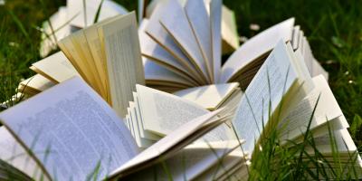 Pile of open books scattered on grass.