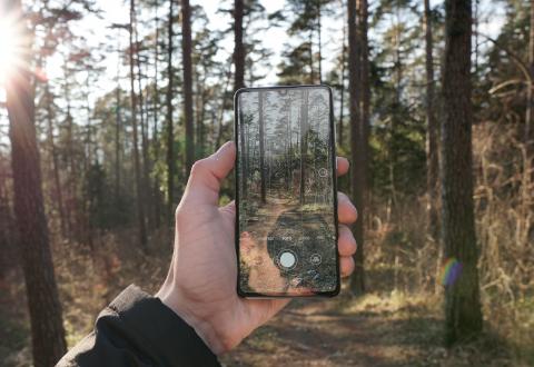 Hand som håller mobiltelefon, på skärmen syns en bild på skogen i bakgrunden
