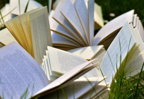 Pile of open books scattered on grass.