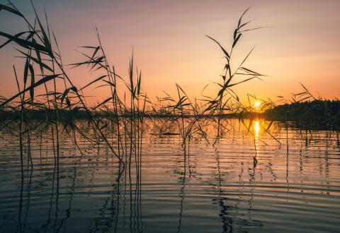 Kuvituskuva. Kesäinen ilta-aurinko järven yllä. 